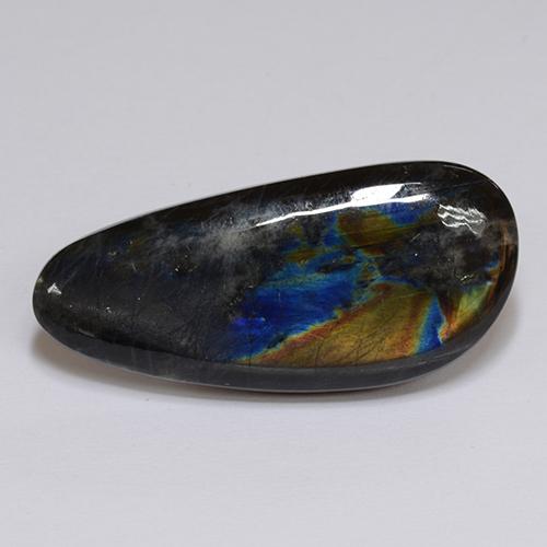 Espectrolita Multicolor natural de 16.28 ct, Forma elegante, Opaco