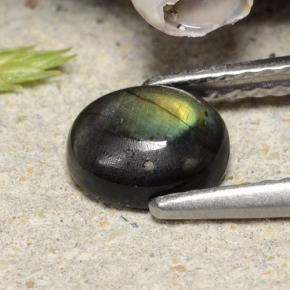 Espectrolita multicolor natural de 0,74 ct, corte óvalo, opaco