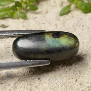 Espectrolita Multicolor natural de 2.84 ct, Corte Óvalo, Opaco