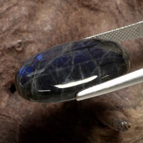 Espectrolita Multicolor natural de 16.82 ct, Corte Óvalo, Opaco