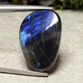 Espectrolita Multicolor natural de 10.39 ct, Forma elegante, Opaco