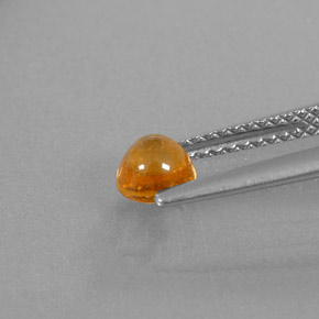 Granate espesartita naranja natural de 0,87 ct, transparente, transparente / translúcido