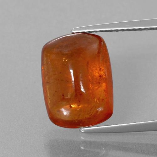 Hilo de espesartita Ámbar naranja natural de 11.19 ct, Corte Cojín, Transparente