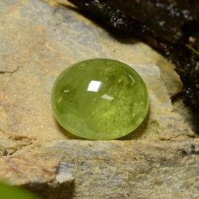 Esfena verde natural de 5,04 ct, corte óvalo, translúcido