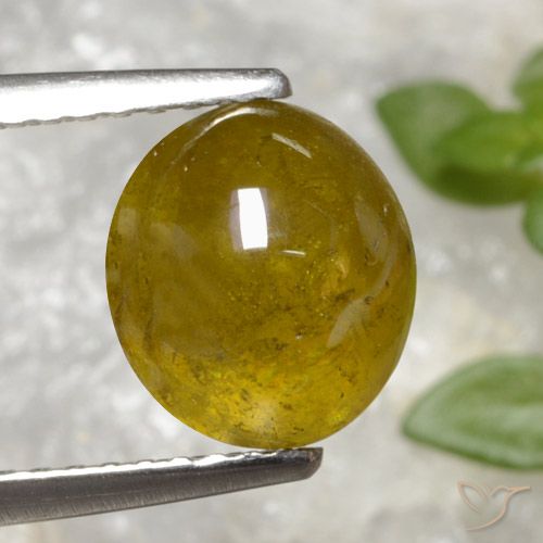 3.20ct Natural Amarillo medio esfena, Ovalada, Translúcido