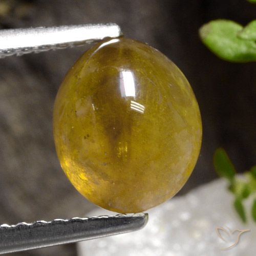 2.68ct Natural Oro esfena, Ovalada, Translúcido