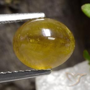 esfena Oro natural de 2.68 ct, Ovalada, Translúcido