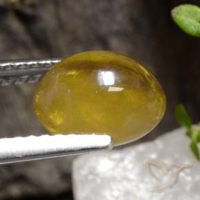 esfena Oro natural de 2.68 ct, Ovalada, Translúcido