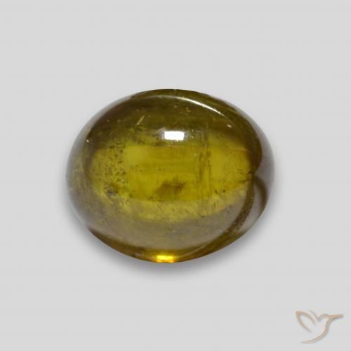 3.33ct Natural Dorado oscuro esfena, Ovalada, Transparente