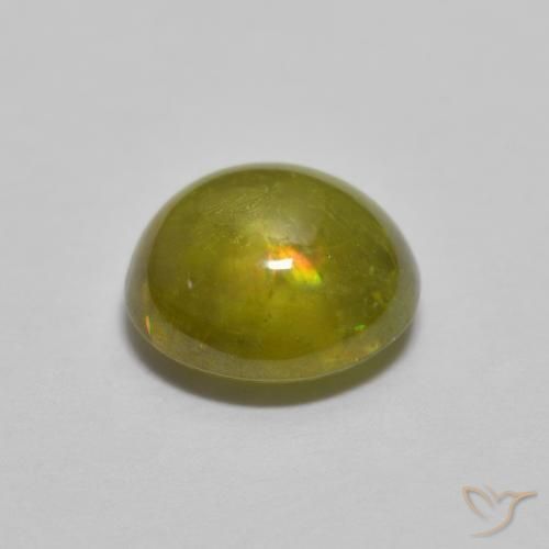 esfena Verde bosque cálido natural de 1.38 ct, Ovalada, Transparente