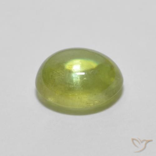 esfena Verde bosque cálido natural de 1.07 ct, Ovalada, Transparente
