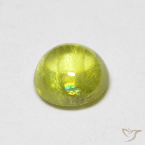 esfena Verde bosque cálido natural de 0.85 ct, Redondo, Transparente