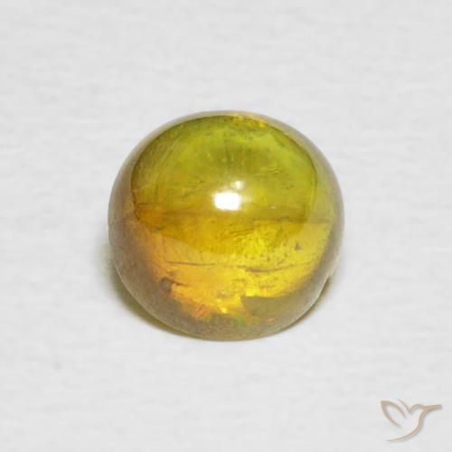 1.31ct Natural Amarillo medio esfena, Ovalada, Transparente