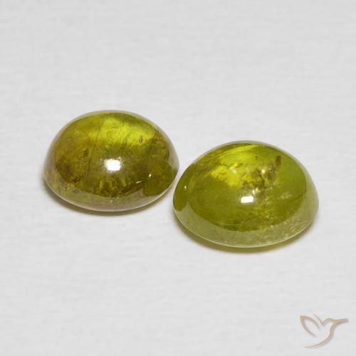 Gemas de esfena Verde bosque cálido natural de 3.52 ct, Ovalada, Transparente