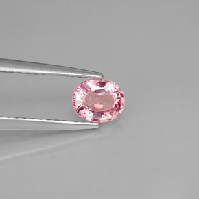 Espinela rosa natural de 0,63 ct, corte óvalo, VS