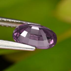 Espinela púrpura natural de 1,08 ct, corte óvalo, VS
