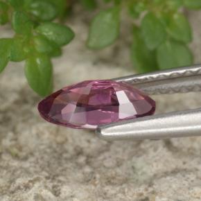 Espinela violeta natural de 0,62 ct, marquesa, VVS-VS