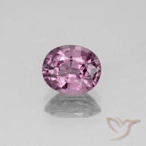 1.42ct Natural Púrpura claro espinela, Ovalada, VS