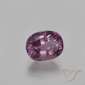 Espinela Púrpura oscuro medio natural de 1.63 ct, Ovalada, VS