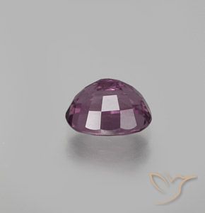 Espinela Púrpura oscuro medio natural de 1.63 ct, Ovalada, VS