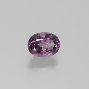 Espinela púrpura natural de 1,60 ct, corte óvalo, VS
