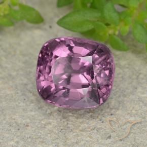 Espinela Púrpura medio natural de 1.50 ct, Forma Cojín, VVS-VS