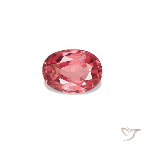 0.21ct Rojo escarlata claro Espinela, Ovalada, VVS