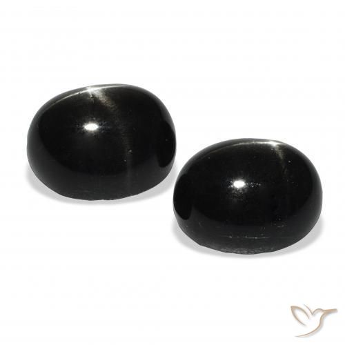 Gemas de Diópsido Estrella Negro natural de 12.04 ct, Ovalada, Opaco