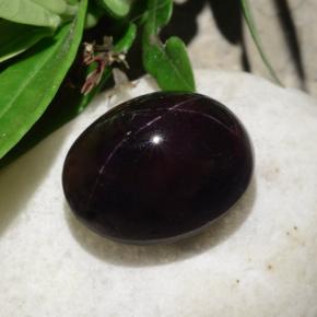 Granate estrella negro natural de 31,18 ct, corte óvalo, opaco