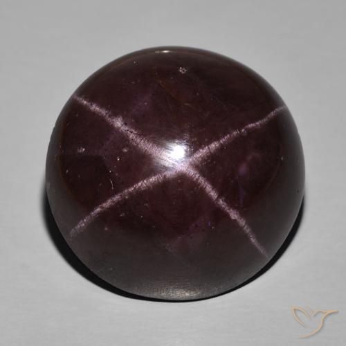 63.29ct Natural Rojo oscuro Granate estrella, Ovalada, Opaco