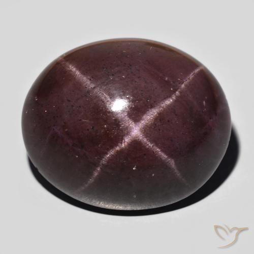 64.74ct Natural Rojo caoba Granate estrella, Ovalada, Opaco