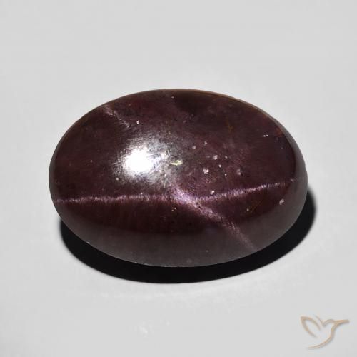 15.62ct Natural Rojo oscuro Granate estrella, Ovalada, Opaco