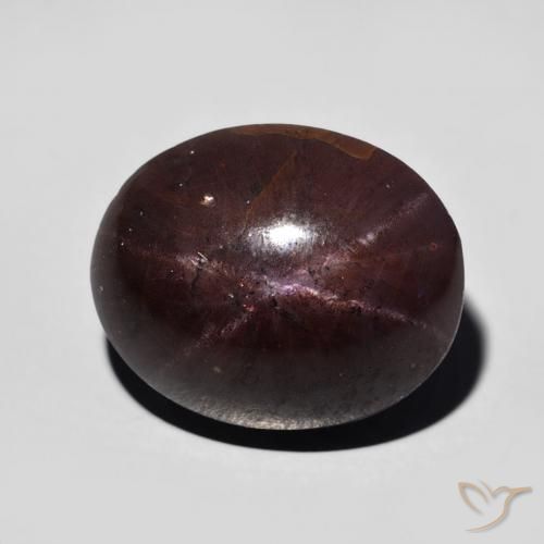 12.82ct Natural Rojo oscuro Granate estrella, Ovalada, Opaco