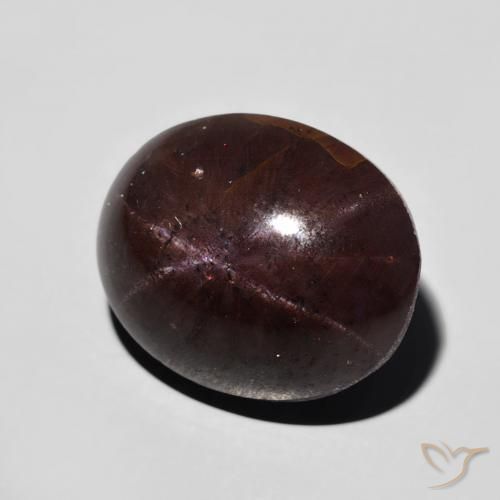 Granate estrella Rojo oscuro natural de 12.82 ct, Ovalada, Opaco