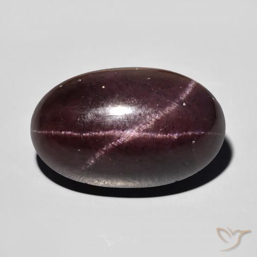 15.32ct Natural Rojo oscuro Granate estrella, Ovalada, Opaco