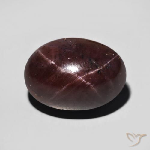 11.12ct Natural Rojo oscuro Granate estrella, Ovalada, Opaco