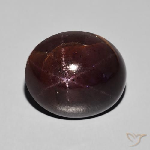 24.21ct Natural Rojo caoba Granate estrella, Ovalada, Opaco