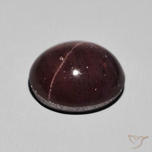 Granate estrella Rojo caoba natural de 13.26 ct, Ovalada, Opaco