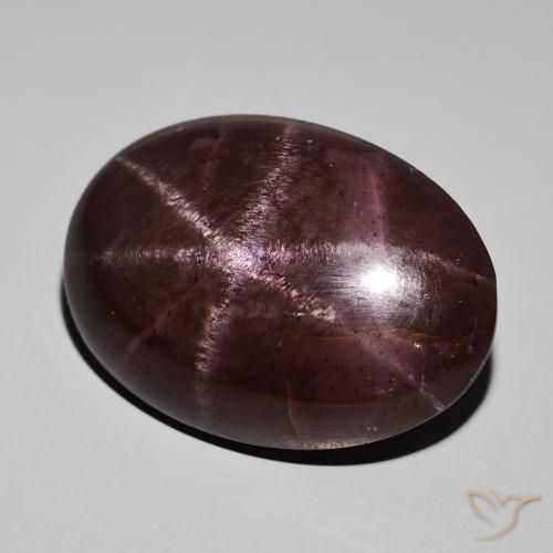 68.34ct Natural Rojo caoba Granate estrella, Ovalada, Opaco