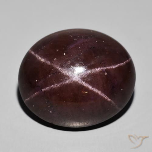 62.94ct Natural Rojo oscuro Granate estrella, Ovalada, Opaco