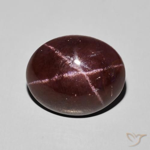 12.41ct Natural Rojo caoba Granate estrella, Ovalada, Opaco