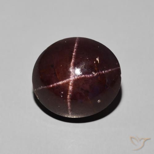 10.16ct Natural Rojo oscuro Granate estrella, Ovalada, Opaco