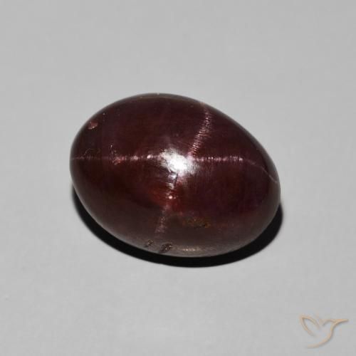 11.30ct Natural Rojo oscuro Granate estrella, Ovalada, Opaco