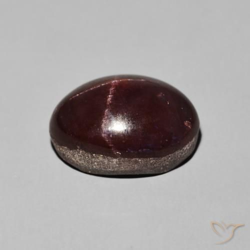 Granate estrella Rojo oscuro natural de 11.30 ct, Ovalada, Opaco