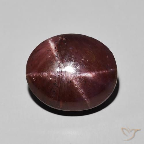 13.83ct Natural Rojo caoba Granate estrella, Ovalada, Opaco