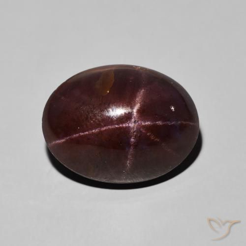 15.94ct Natural Rojo caoba Granate estrella, Ovalada, Opaco