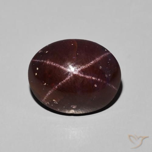 9.76ct Natural Rojo oscuro Granate estrella, Ovalada, Opaco
