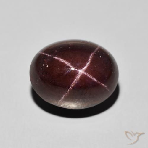 13.49ct Natural Rojo oscuro Granate estrella, Ovalada, Opaco
