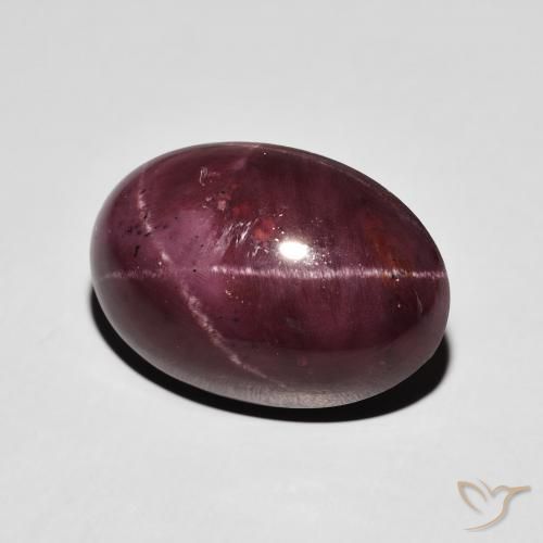 Granate estrella Rojo oscuro natural de 17.39 ct, Ovalada, Opaco