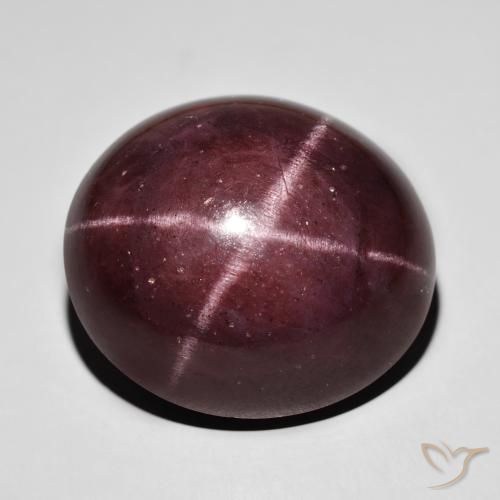 72.25ct Natural Rojo caoba Granate estrella, Ovalada, Opaco